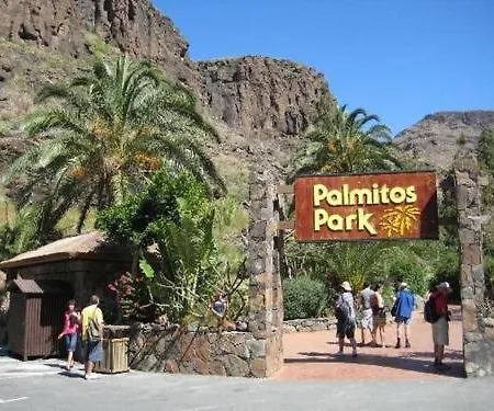 Lejlighed The Ravine House Maspalomas (Gran Canaria)